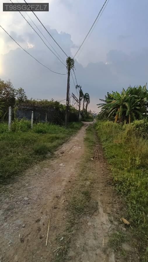 Bán đất - Xã Vĩnh Lộc B  -  Huyện Bình Chánh  - 75m² - 500triệu - (ảnh - 3)