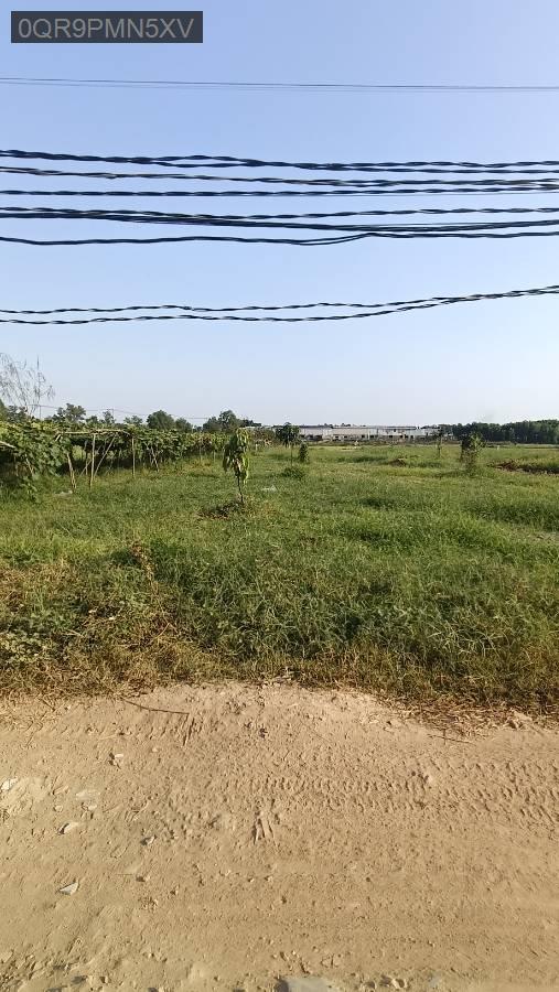 Bán đất - Xã Vĩnh Lộc B  -  Huyện Bình Chánh  - 3000m² - 15tỷ - (ảnh - 2)