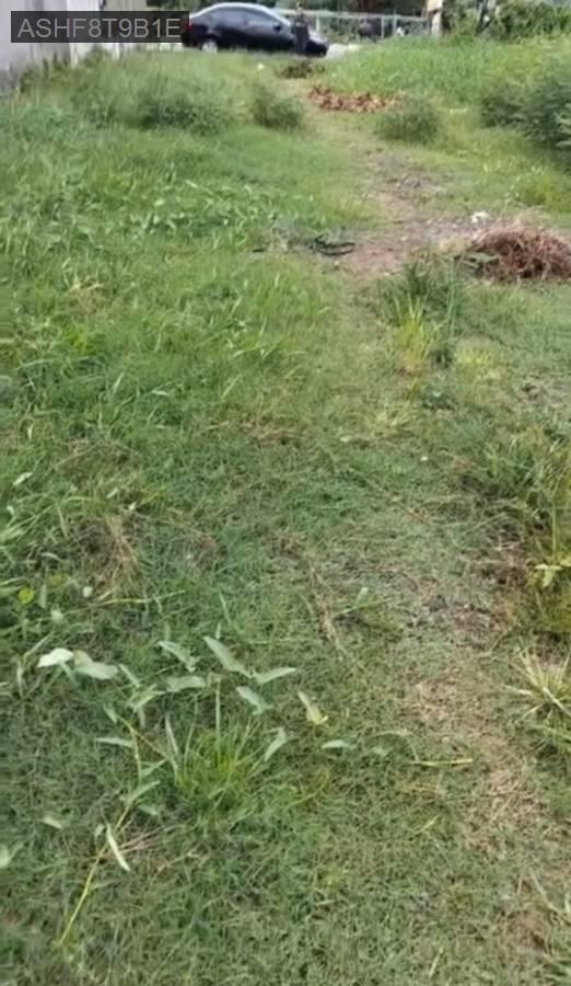 Bán đất - Xã Phạm Văn Hai  -  Huyện Bình Chánh  - 213m² - 6.5tỷ - (ảnh - 1)