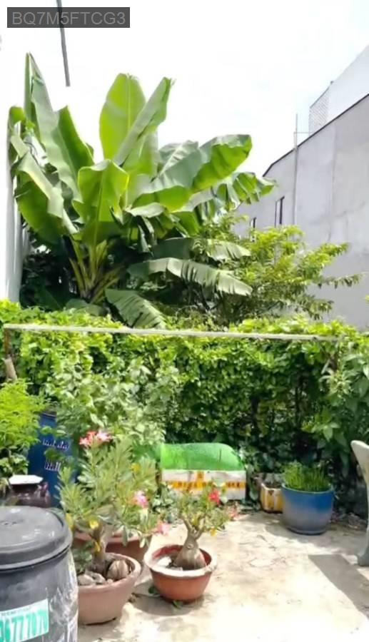 Bán đất - Xã Vĩnh Lộc B  -  Huyện Bình Chánh  - 265m² - 8.7tỷ - (ảnh - 2)