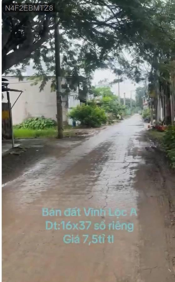 Bán đất - Xã Vĩnh Lộc A  -  Huyện Bình Chánh  - 592m² - 6tỷ - (ảnh - 3)