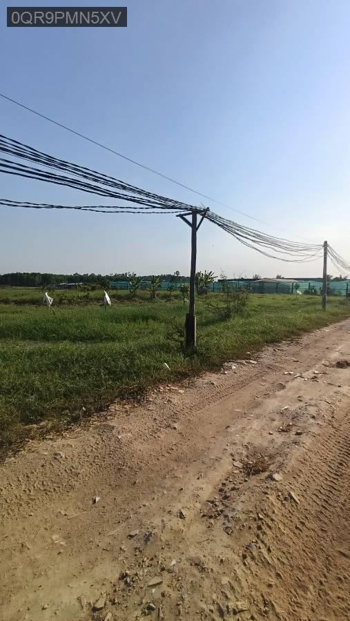 Bán đất - Xã Vĩnh Lộc B  -  Huyện Bình Chánh  - 3000m² - 15tỷ - (ảnh - 4)