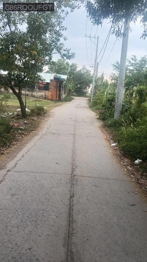 Bán đất - Xã Vĩnh Lộc B  -  Huyện Bình Chánh  - 534m² - 4.5tỷ - (ảnh - 2)