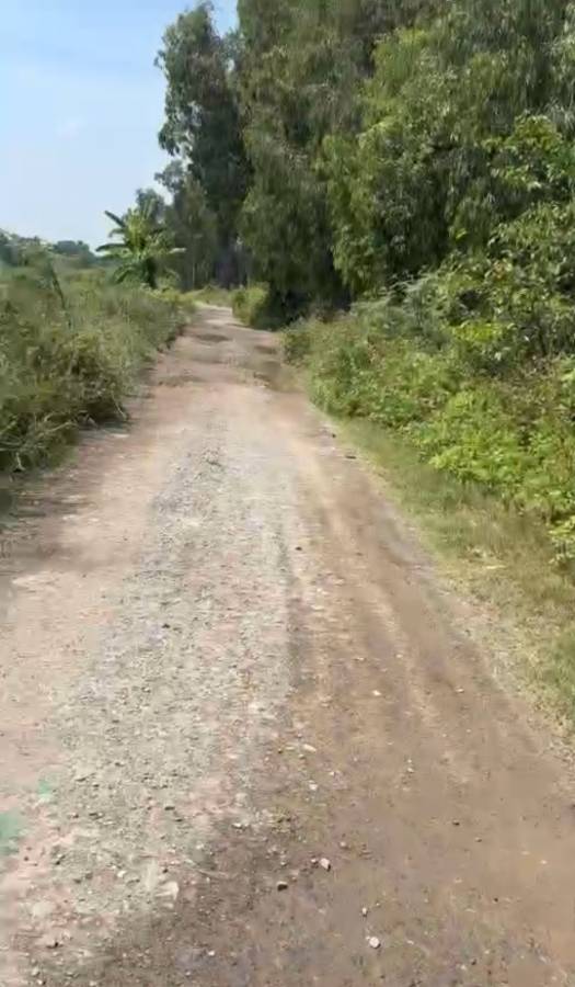 Bán đất - Xã Vĩnh Lộc B  -  Huyện Bình Chánh  - 2000m² - 10tỷ - (ảnh - 0)