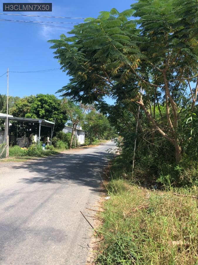 ĐÓN ĐẦU QUY HOẠCH QL62 – LÔ ĐẤT VÀNG 360M2 NGAY CỬA KHẨU BÌNH HIỆP - Xã Bình Tân  -  Thị xã Kiến Tường  - (ảnh - 2)