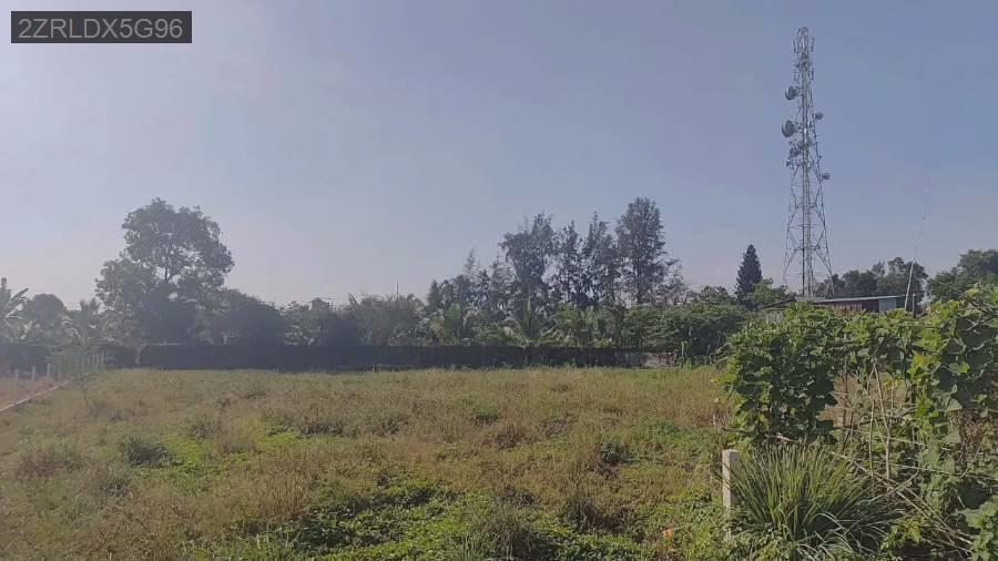 BÁN ĐẤT LỚN KẾ BÊN CHỢ BÌNH CHÁNH 2050M2 NGANG KHỦNG 32M NHIK 23 TỶ - Xã Bình Chánh  -  Huyện Bình Chánh  - (ảnh - 1)