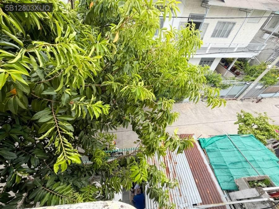 BÁN NHÀ KHU TÊN LỬA 3 TẦNG NGANG 7M BỀ THẾ DÒNG TIỀN TỐT NHIK 8 TỶ  - Phường An Lạc  -  Quận Bình Tân  - (ảnh - 3)
