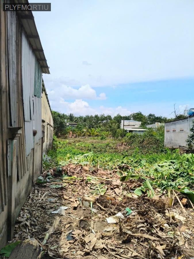 Bán đất thổ cư Mt thanh niên Tân Vĩnh Lộc bình Chánh 9,6 tỉ 740m - Xã Vĩnh Lộc B  -  Huyện Bình Chánh  - (ảnh - 1)