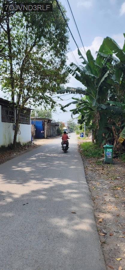 Bán đất thổ cư sau chợ nửa dân công Vĩnh Lộc Bình Chánh giá 3tỉ550  - Huyện Bình Chánh - Tp Hồ Chí Minh - (ảnh - 2)