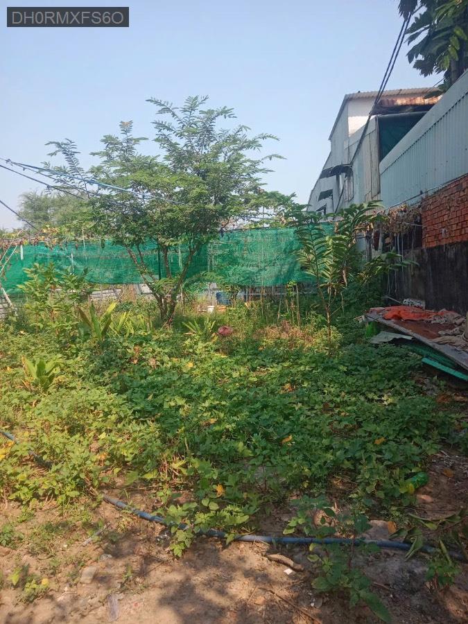 Bán đất - Xã Vĩnh Lộc A  -  Huyện Bình Chánh  - 1446m² - 10.7tỷ - (ảnh - 2)