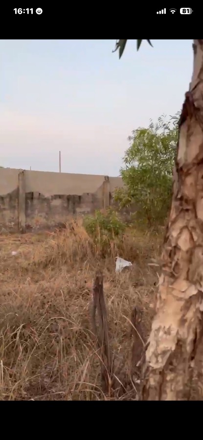 Bán đất - Xã Vĩnh Lộc B  -  Huyện Bình Chánh  - 1150m² - 7tỷ - (ảnh - 4)