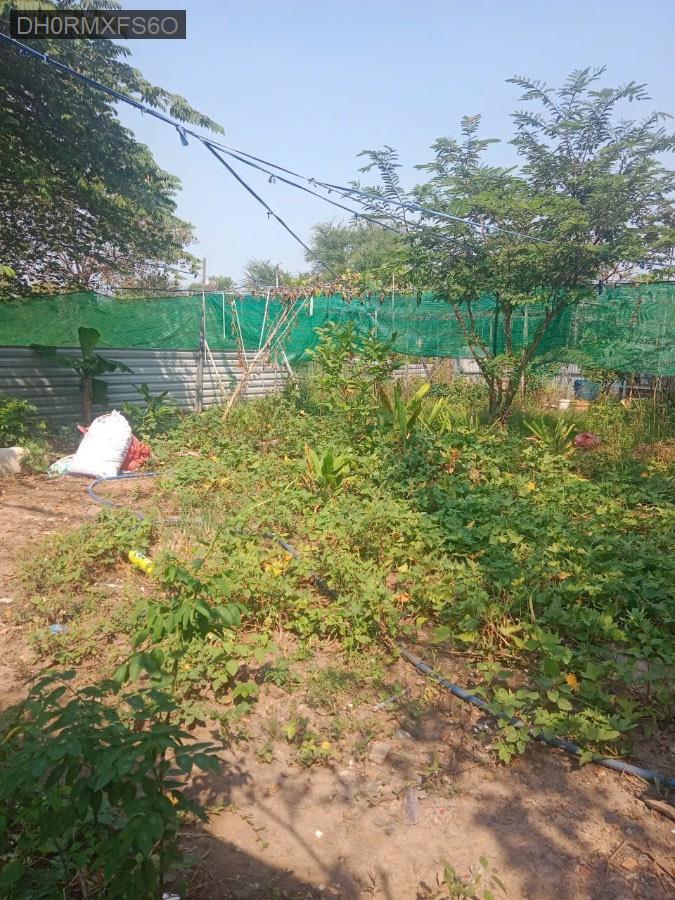 Bán đất - Xã Vĩnh Lộc A  -  Huyện Bình Chánh  - 1446m² - 10.7tỷ - (ảnh - 3)