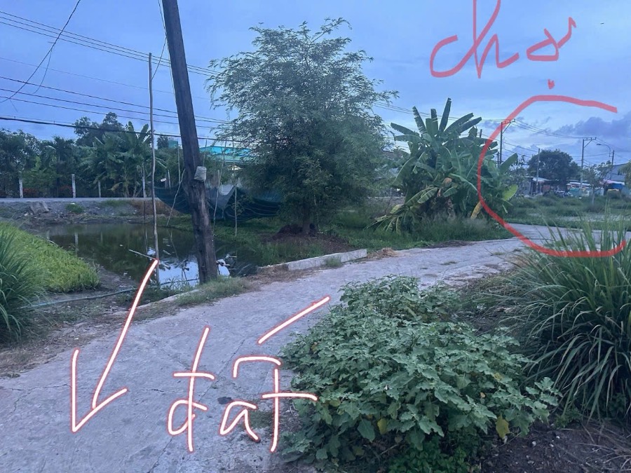 Bán đất - Xã Hưng Long  -  Huyện Bình Chánh  - 2300m² - 13tỷ - (ảnh - 1)