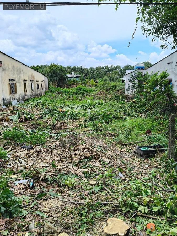 Bán đất thổ cư Mt thanh niên Tân Vĩnh Lộc bình Chánh 9,6 tỉ 740m - Xã Vĩnh Lộc B  -  Huyện Bình Chánh  - (ảnh - 2)