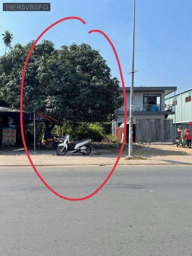 Bán đất Mt đường Lại Hùng cường full thổ cư  - Xã Vĩnh Lộc B  -  Huyện Bình Chánh  - (ảnh - 0)