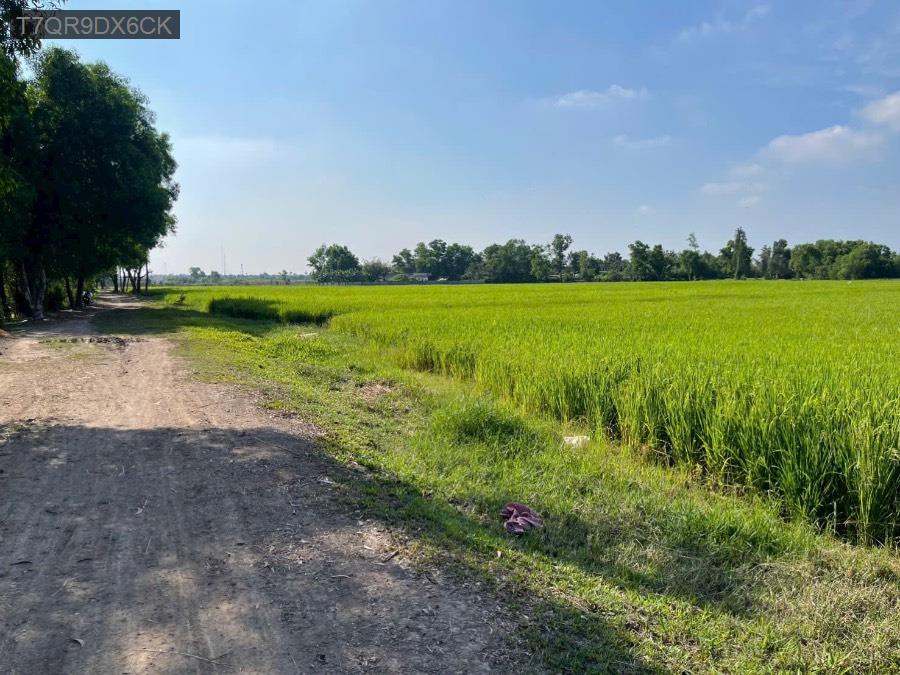 Bán đất 10.670 Mt Nguyễn Thi Ly  Hóc Môn giá 2.5tr/1m2 - Huyện Hóc Môn - Tp Hồ Chí Minh - (ảnh - 0)