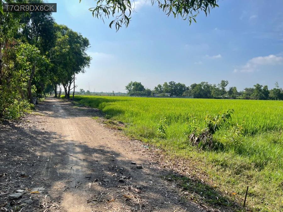 Bán đất 10.670 Mt Nguyễn Thi Ly  Hóc Môn giá 2.5tr/1m2 - Huyện Hóc Môn - Tp Hồ Chí Minh - (ảnh - 1)