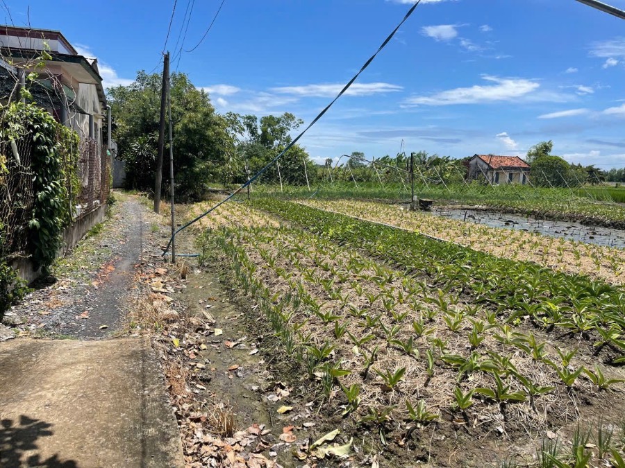 Bán đất - Xã Hưng Long  -  Huyện Bình Chánh  - 2300m² - 13tỷ - (ảnh - 0)