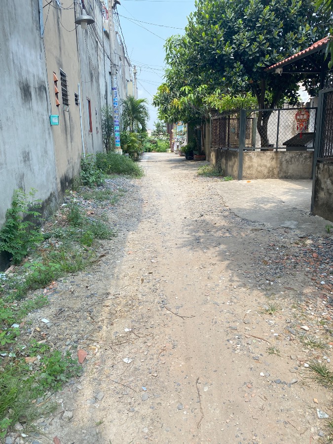 Bán đất - Xã Vĩnh Lộc A  -  Huyện Bình Chánh  - 1668m² - 3.75tỷ - (ảnh - 2)