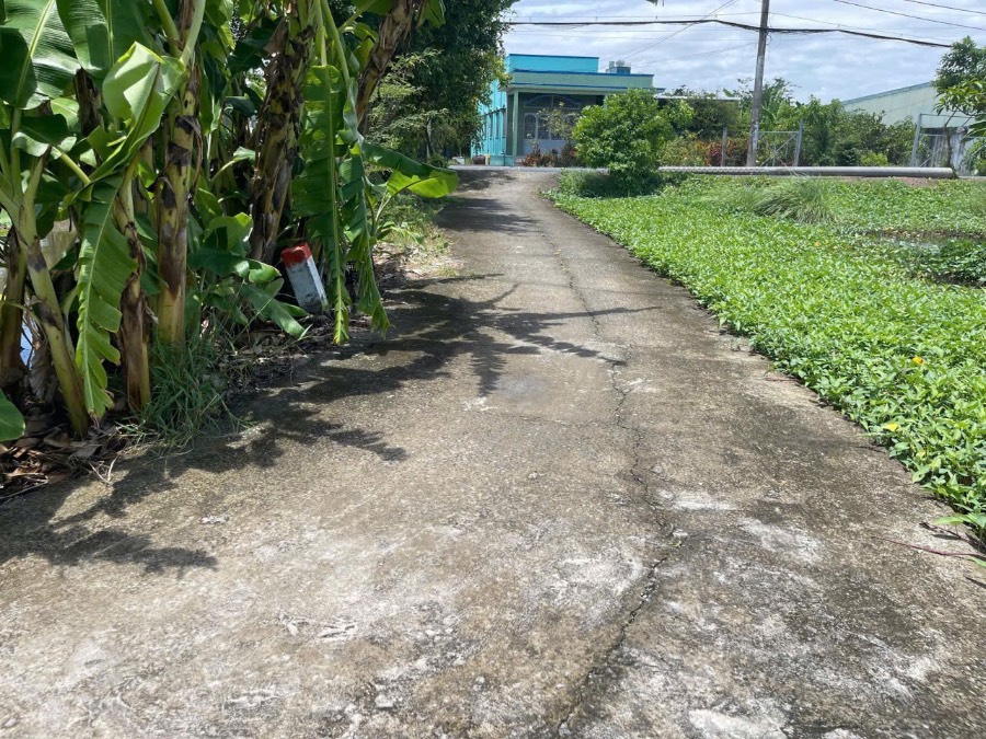 Bán đất - Xã Hưng Long  -  Huyện Bình Chánh  - 2300m² - 13tỷ - (ảnh - 2)