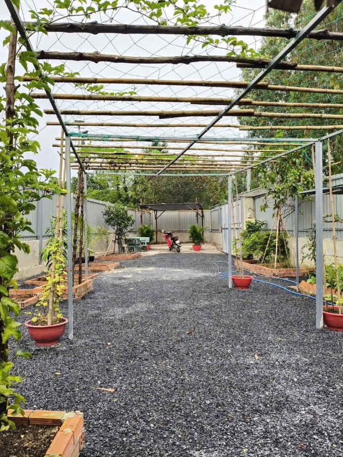 Bán đất - Xã Nhị Bình  -  Huyện Hóc Môn  - 260m² - 1.85tỷ - (ảnh - 1)