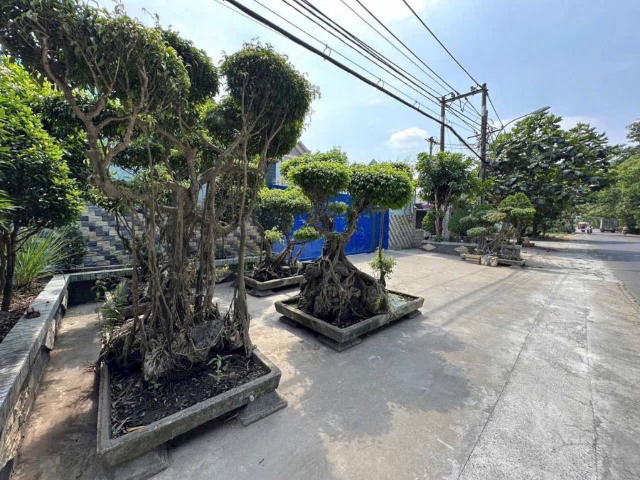 Bán kho xưởng - Xã Vĩnh Lộc B  -  Huyện Bình Chánh  - 2838m² - 59.5tỷ - (ảnh - 1)
