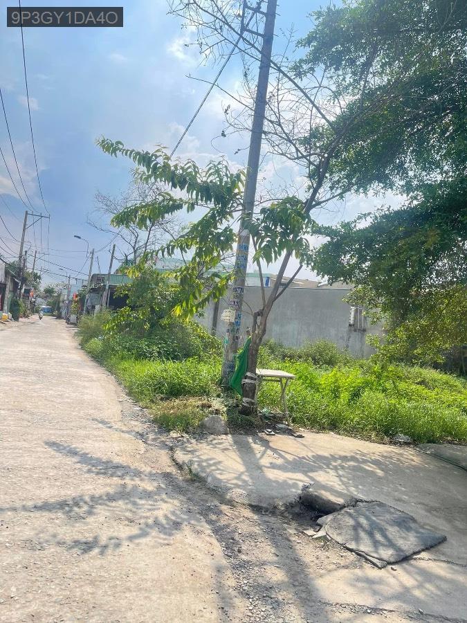 Bán đất - Xã Vĩnh Lộc A  -  Huyện Bình Chánh  - 506m² - 5.2tỷ - (ảnh - 4)