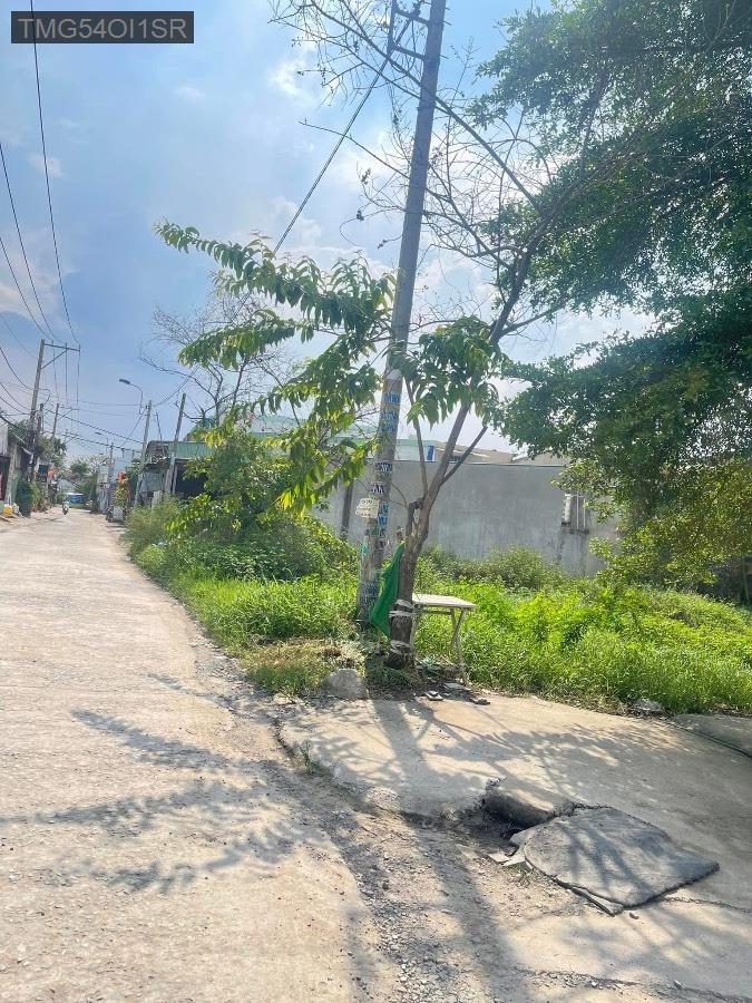 Bán đất - Xã Vĩnh Lộc A  -  Huyện Bình Chánh  - 506m² - 5.2tỷ - (ảnh - 0)