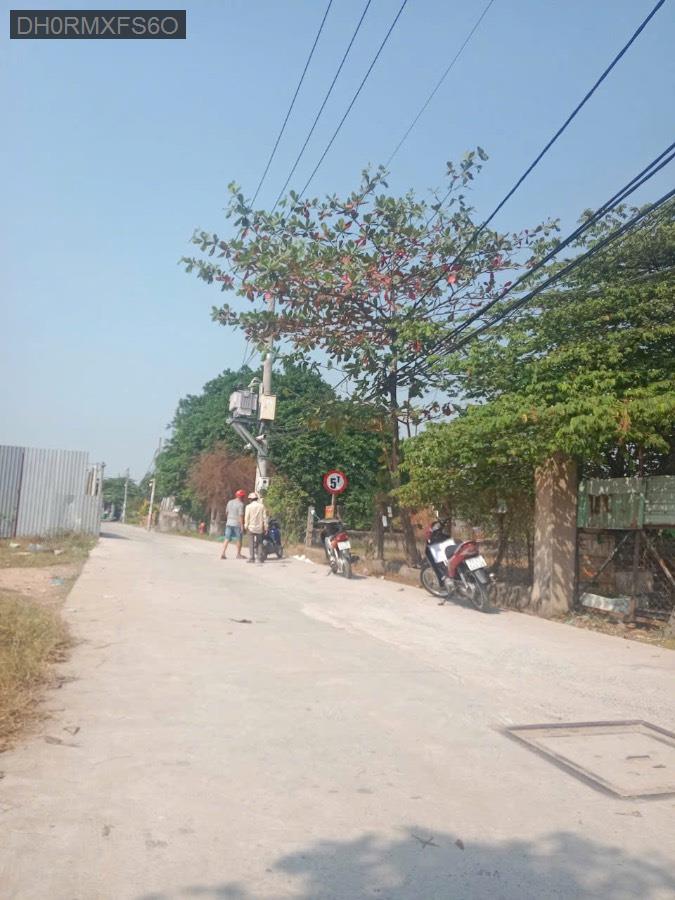 Bán đất - Xã Vĩnh Lộc A  -  Huyện Bình Chánh  - 1446m² - 10.7tỷ - (ảnh - 0)