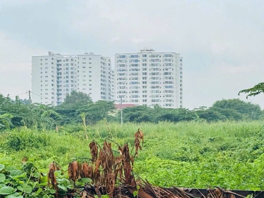 Bán đất - Quận Bình Tân - Tp Hồ Chí Minh - 9026m² - 126tỷ - (ảnh - 2)