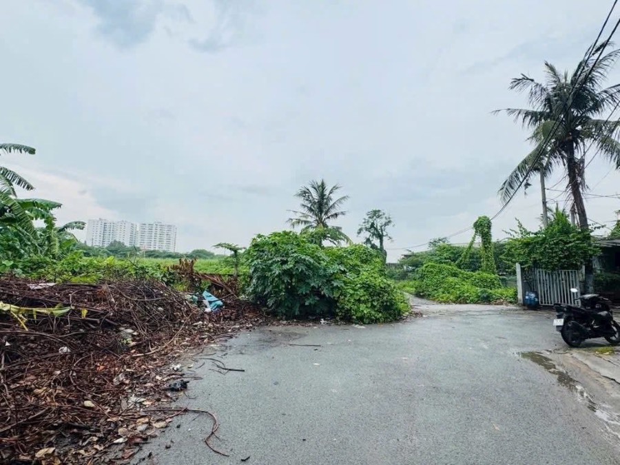 Bán đất - Quận Bình Tân - Tp Hồ Chí Minh - 9026m² - 126tỷ - (ảnh - 3)