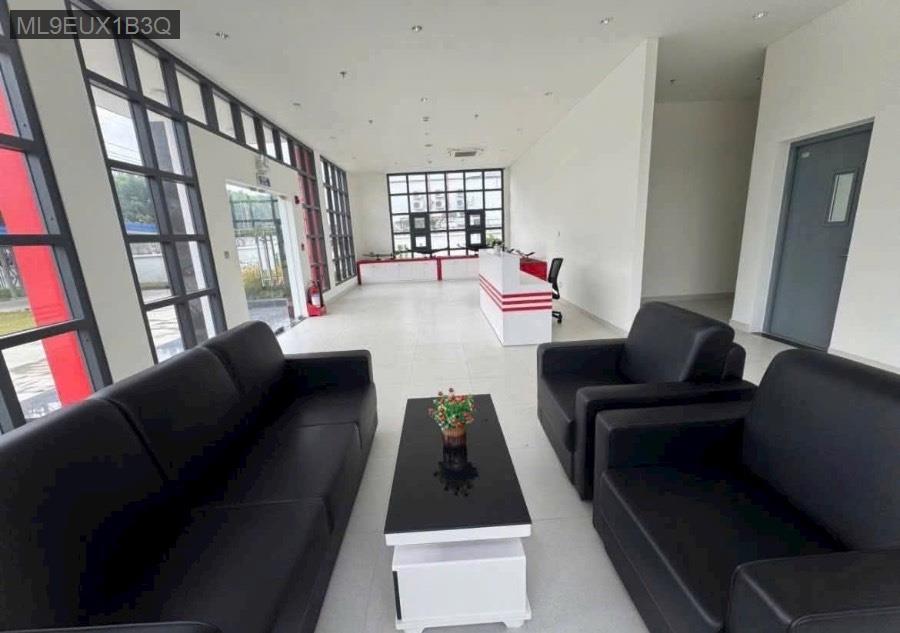 Cho thuê kho xưởng - Tp Hồ Chí Minh - 4612m² - 690triệu - (ảnh - 2)