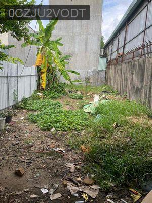 Bán đất xã Thới Tam Thôn , Hóc Môn , Hồ chi Minh 80m2 - Xã Thới Tam Thôn  -  Huyện Hóc Môn 