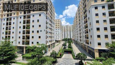Bán gấp chung cư Cityland Gò Vấp 2pn, 2wc 75m2 - Phường 10  -  Quận Gò Vấp 