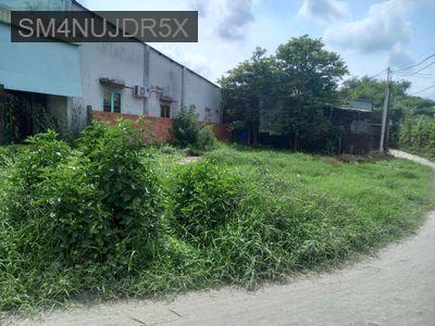 Càn bán gấp.đất thổ cư.sổ riêng. - Xã Đức Lập Hạ  -  Huyện Đức Hòa 