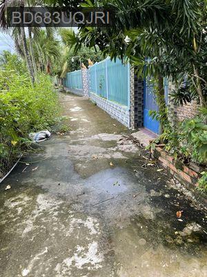 Bán nhà - Phường Khánh Hậu  -  Thành phố Tân An  - 94m² - 1.2tỷ
