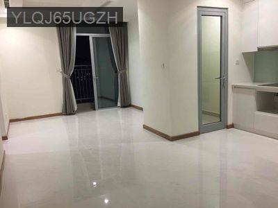 Mình cần bán 2PN sổ hồng, view thành phố, 8.3ty, nhà trống dễ decor - Phường 22  -  Quận Bình Thạnh 