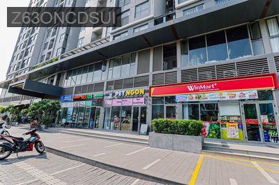 Bán căn hộ kinh doanh  Westgate, vừa ở vừa kinh doanh - TT. Tân Túc  -  Huyện Bình Chánh 