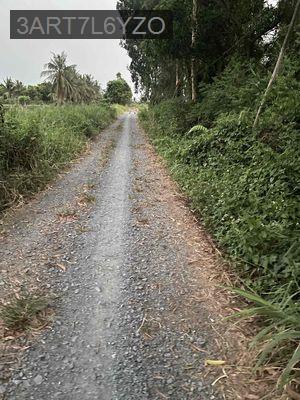 tôi bán mảnh đất vườn mặt tiền Kênh 10 giá rẻ 4 tỉ/ công - Xã Lê Minh Xuân  -  Huyện Bình Chánh 