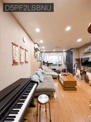 Bán gấp chung cư Đất Phương Nam, 3pn 2wc , 130m2 nt đẹp - Phường 12  -  Quận Bình Thạnh 