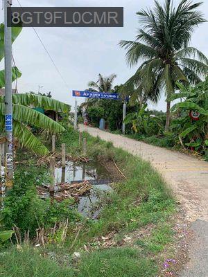 đất sổ đỏ nông nghiệp 504m2 ấp bình lương 2, xã bình thạnh, thủ thừa - Xã Bình Thạnh  -  Huyện Thủ Thừa 