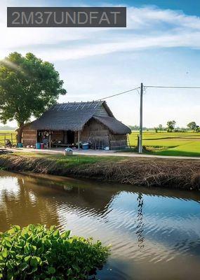 Đất kho xưởng 7 hec 2 mặt tiền đường nhựa - Xã Bình Chánh  -  Huyện Bình Chánh 