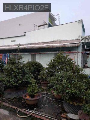 Bán dãy 11 phòng trọ MT đường nhựa Bình Chánh HCM - Xã Bình Lợi  -  Huyện Bình Chánh 