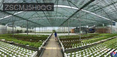 Bán đất Bình Chánh - Xã Bình Lợi  -  Huyện Bình Chánh 