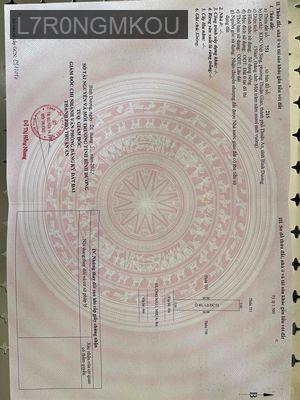 biệt thự tâm huyết để lại cho người yêu gỗ - Phường An Phú  -  Thị xã Thuận An 