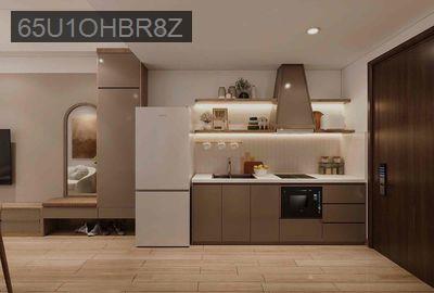 Căn hộ studio River Gate nội thất mới 100% - Phường 6  -  Quận 4 