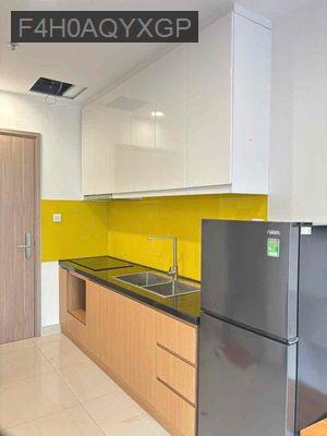 Bắt đáy căn hộ Vinhomes Studio diện tích lớn, full nội thất chỉ 1.9tỷ - Phường Long Thạnh Mỹ  -  Quận 9 