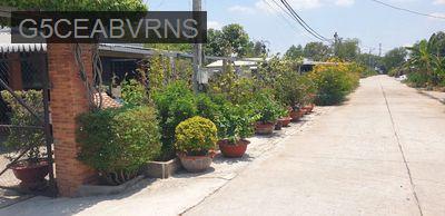 CHÍNH CHỦ CẦN BÁN 10x20m (100% Thổ Cư) sổ hồng mặt tiền Nguyễn Thị He - Xã Thái Mỹ  -  Huyện Củ Chi 