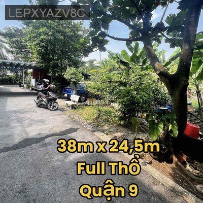 Bán Gấp 38 x 24,5m full thổ  Nguyễn Duy Trinh, Quận 9 - Phường Long Trường  -  Quận 9 