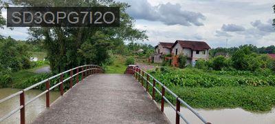 Đất CLN 6.883m2 đường tỉnh lộ 15, gần bến đò Cá Lăng. Ngợp cần bán!!! - Xã Phú Hòa Đông  -  Huyện Củ Chi 